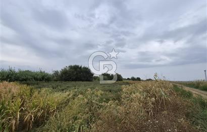 ŞEHZADELER HAMZABEYLİ'DE KÖY CİVARINDA 1.600 m² TARLA
