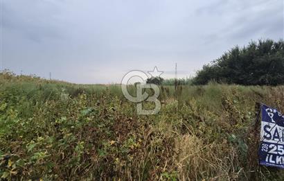 ŞEHZADELER HAMZABEYLİ'DE KÖY CİVARINDA 1.600 m² TARLA