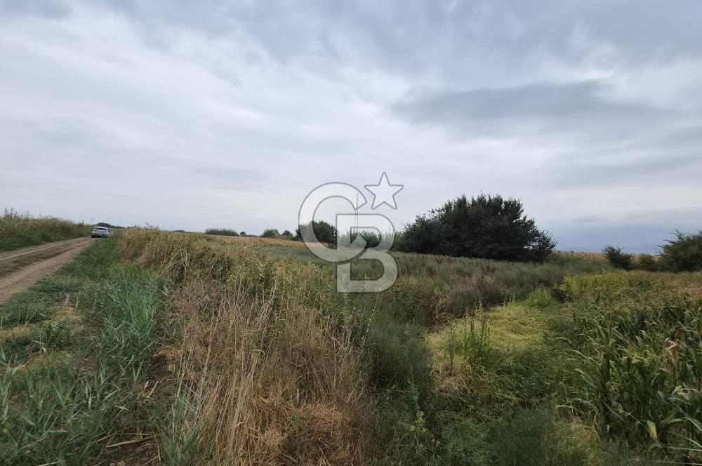 ŞEHZADELER HAMZABEYLİ'DE KÖY CİVARINDA 1.600 m² TARLA