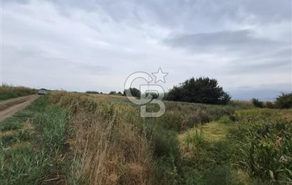 ŞEHZADELER HAMZABEYLİ'DE KÖY CİVARINDA 1.600 m² TARLA