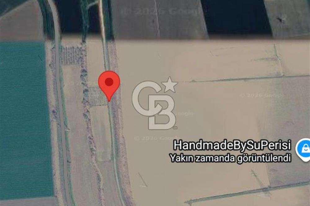 ŞEHZADELER HAMZABEYLİ'DE KÖY CİVARINDA 1.600 m² TARLA