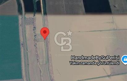 ŞEHZADELER HAMZABEYLİ'DE KÖY CİVARINDA 1.600 m² TARLA