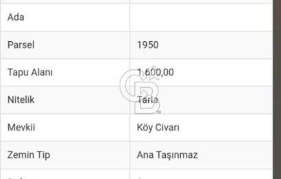 ŞEHZADELER HAMZABEYLİ'DE KÖY CİVARINDA 1.600 m² TARLA
