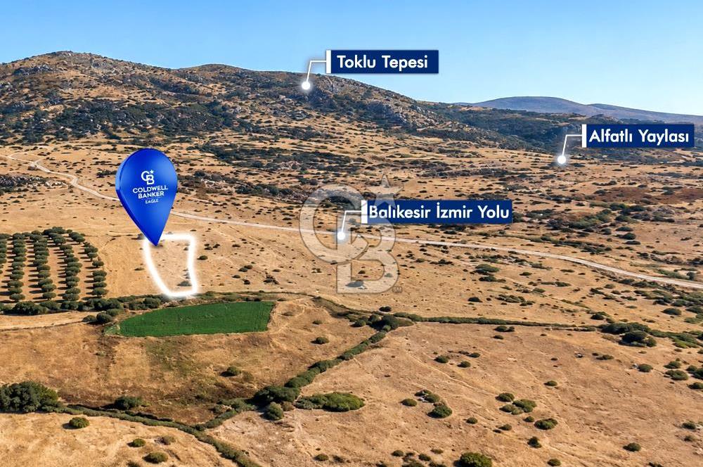 CB EAGLE'dan BURHANİYE YAYLACIK'DA 4.394m² İZMİR YOLU ÜZERİ TARLA