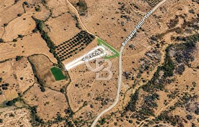 CB EAGLE'dan BURHANİYE YAYLACIK'DA 4.394m² İZMİR YOLU ÜZERİ TARLA