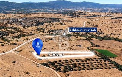CB EAGLE'dan BURHANİYE YAYLACIK'DA 4.394m² İZMİR YOLU ÜZERİ TARLA