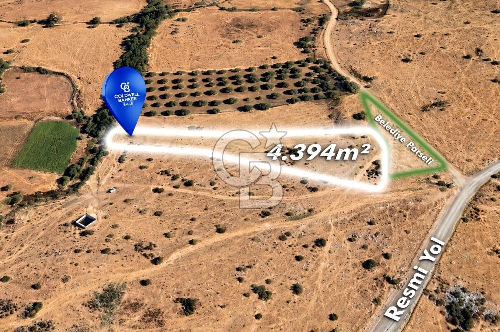 CB EAGLE'dan BURHANİYE YAYLACIK'DA 4.394m² İZMİR YOLU ÜZERİ TARLA