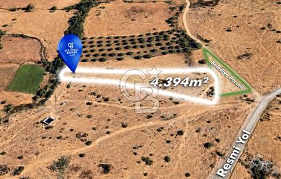 CB EAGLE'dan BURHANİYE YAYLACIK'DA 4.394m² İZMİR YOLU ÜZERİ TARLA