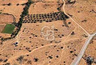 CB EAGLE'dan BURHANİYE YAYLACIK'DA 4.394m² İZMİR YOLU ÜZERİ TARLA - 5 - 375239