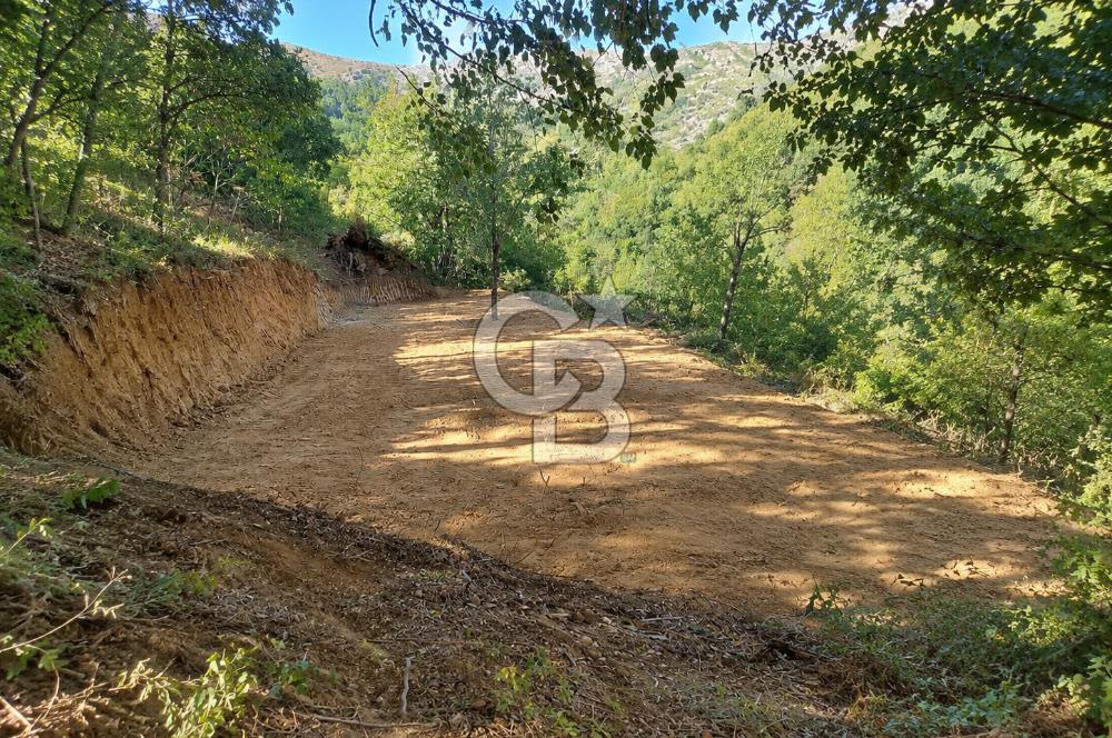 CB BAŞROL GEMLİK ŞAHİNYURDU 175 M2 SATILIK BAHÇE