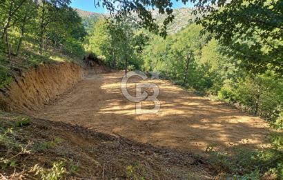 CB BAŞROL GEMLİK ŞAHİNYURDU 175 M2 SATILIK BAHÇE