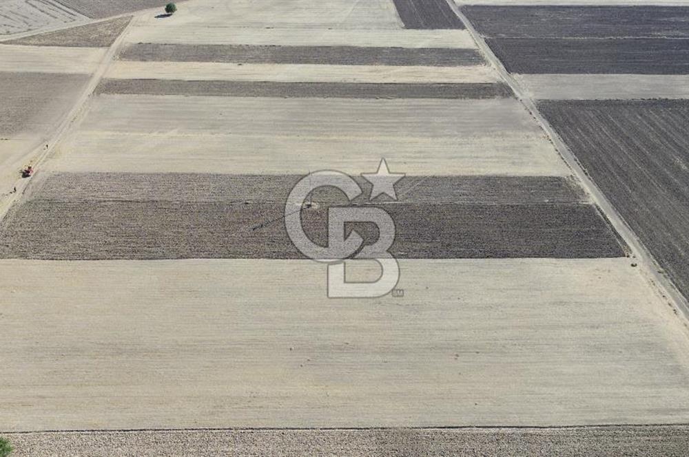 Serinhisar Cumhuriyet Mah. Ana Yola Yakın 4.154 m² Satılık Tarla