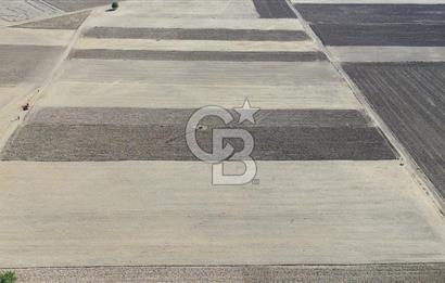 Serinhisar Cumhuriyet Mah. Ana Yola Yakın 4.154 m² Satılık Tarla