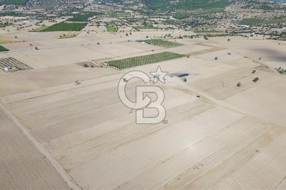 Serinhisar Cumhuriyet Mah. Ana Yola Yakın 4.154 m² Satılık Tarla
