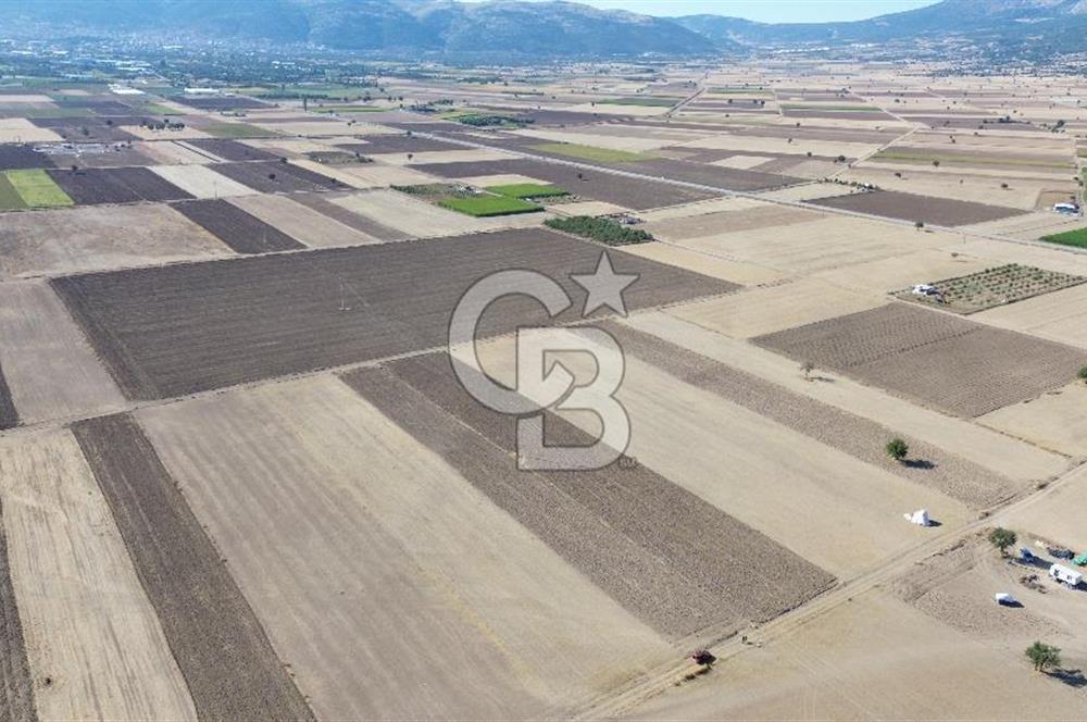 Serinhisar Cumhuriyet Mah. Ana Yola Yakın 4.154 m² Satılık Tarla