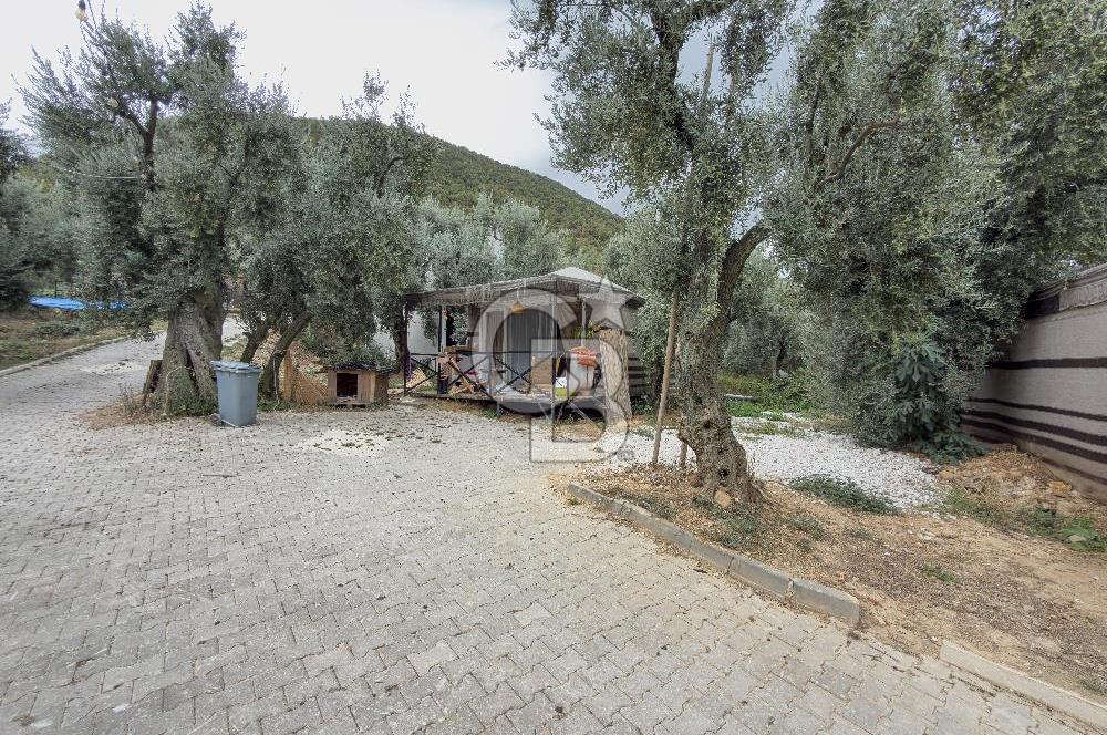 CB BAŞROL İZNİK GÖL KIYISINDA DEVREN KONAKLAMA & RESTORAN