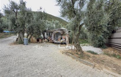 CB BAŞROL İZNİK GÖL KIYISINDA DEVREN KONAKLAMA & RESTORAN