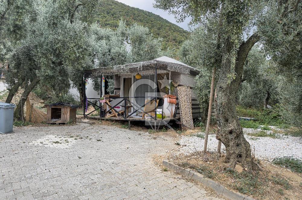 CB BAŞROL İZNİK GÖL KIYISINDA DEVREN KONAKLAMA & RESTORAN