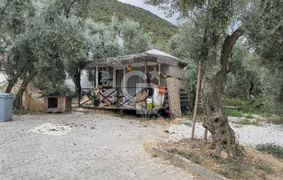 CB BAŞROL İZNİK GÖL KIYISINDA DEVREN KONAKLAMA & RESTORAN