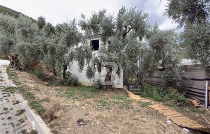 CB BAŞROL İZNİK GÖL KIYISINDA DEVREN KONAKLAMA & RESTORAN