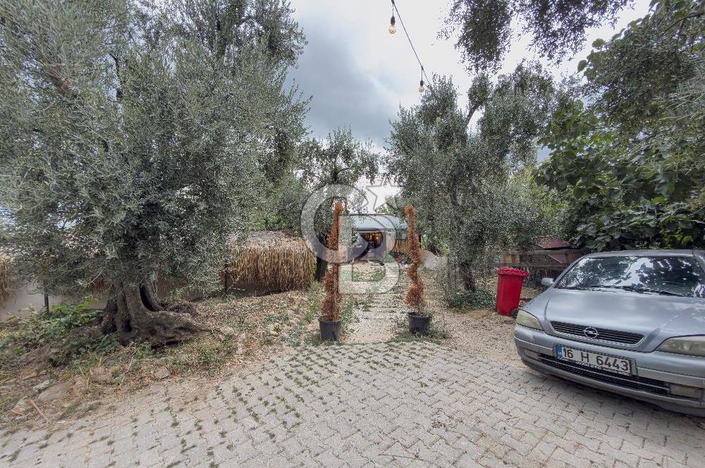 CB BAŞROL İZNİK GÖL KIYISINDA DEVREN KONAKLAMA & RESTORAN