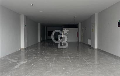 SANCAKTEPE ATATÜRK CD ÜZERİ PLAZA KATI