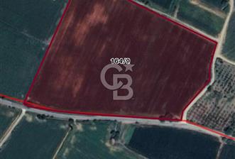 Aydın Söke Çalışlı Mah. Yola Sıfır 52.339 m² Satılık Tarla - 1 - 375281