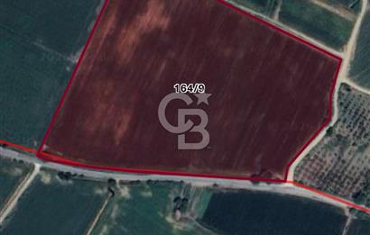 Aydın Söke Çalışlı Mah. Yola Sıfır 52.339 m² Satılık Tarla