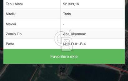 Aydın Söke Çalışlı Mah. Yola Sıfır 52.339 m² Satılık Tarla