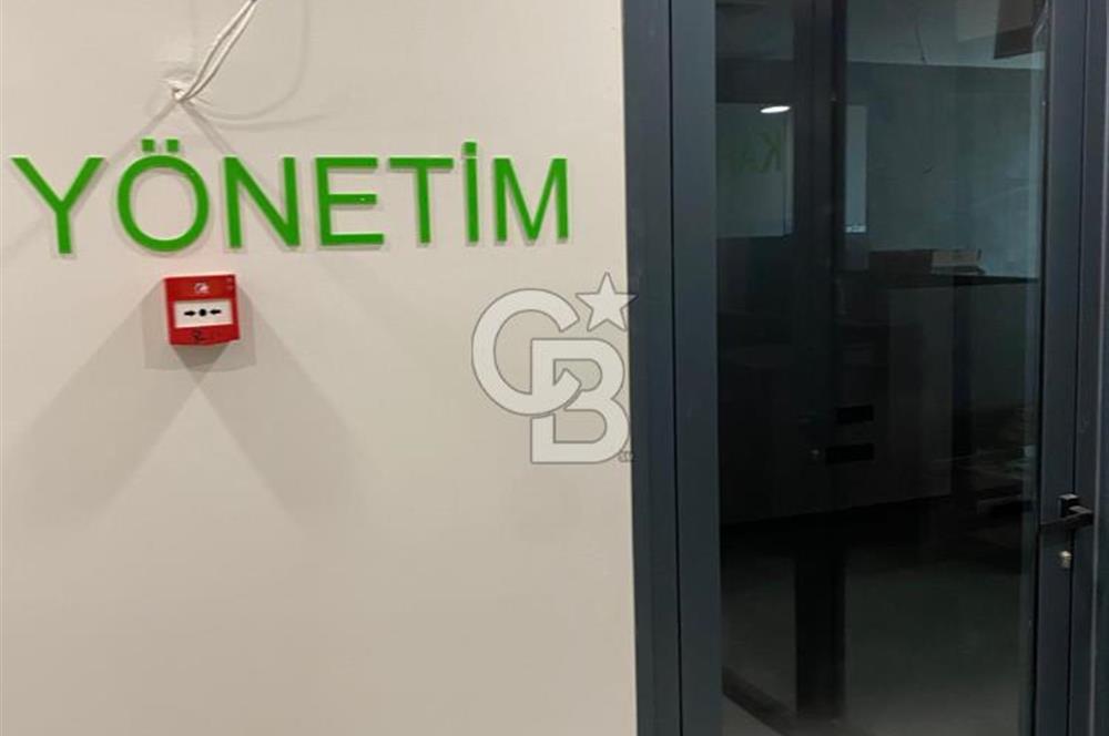 Ala Çamlıca Emsalsiz Satılık 4+1