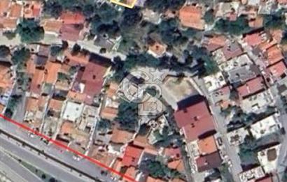 SÖKE/KONAK DEDEDAĞINDA DEĞER KAZANAN BÖLGEDE YATIRIM FIRSATI