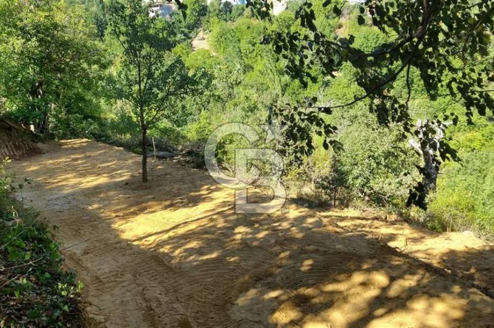 CB BAŞROL GEMLİK ŞAHİNYURDU 175 M2 SATILIK BAHÇE