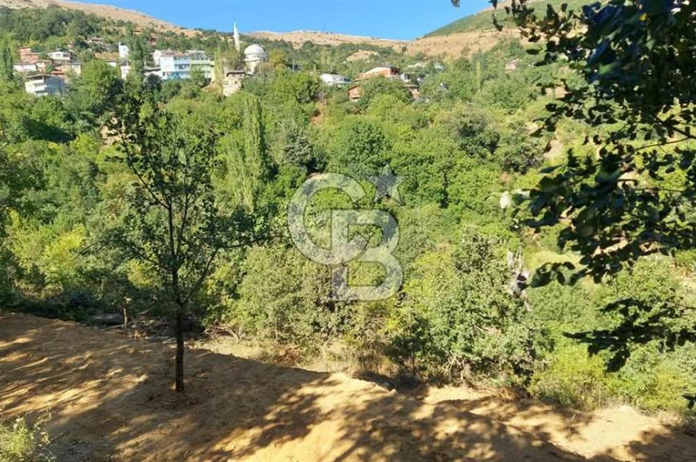 CB BAŞROL GEMLİK ŞAHİNYURDU 175 M2 SATILIK BAHÇE
