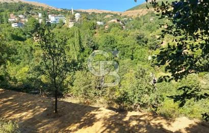 CB BAŞROL GEMLİK ŞAHİNYURDU 175 M2 SATILIK BAHÇE