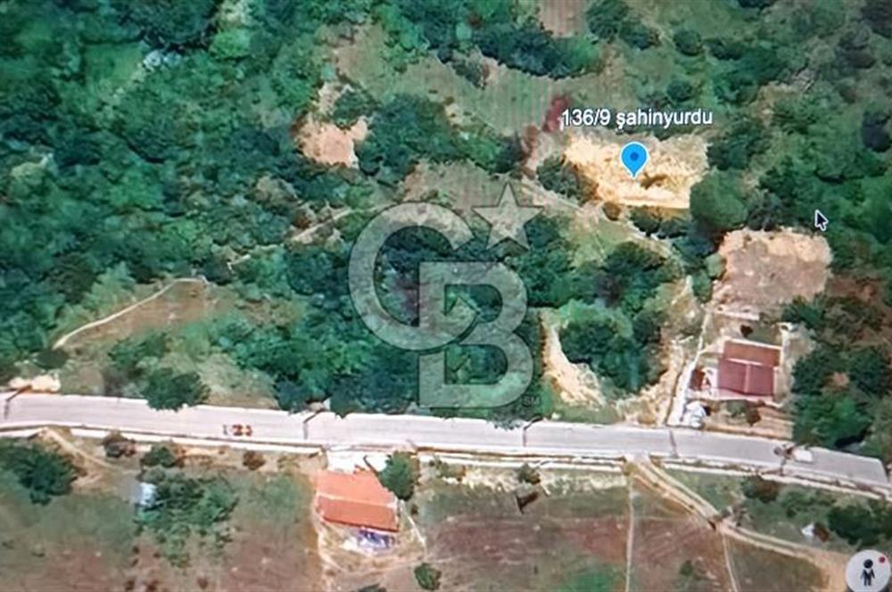 CB BAŞROL GEMLİK ŞAHİNYURDU 175 M2 SATILIK BAHÇE