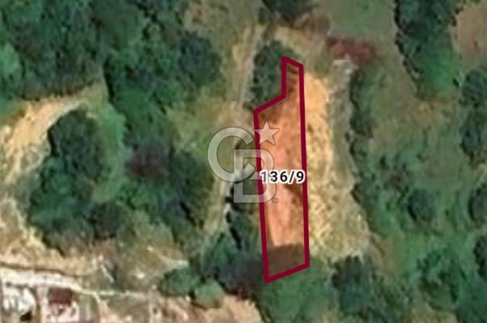 CB BAŞROL GEMLİK ŞAHİNYURDU 175 M2 SATILIK BAHÇE