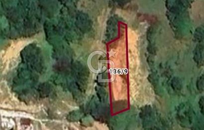 CB BAŞROL GEMLİK ŞAHİNYURDU 175 M2 SATILIK BAHÇE