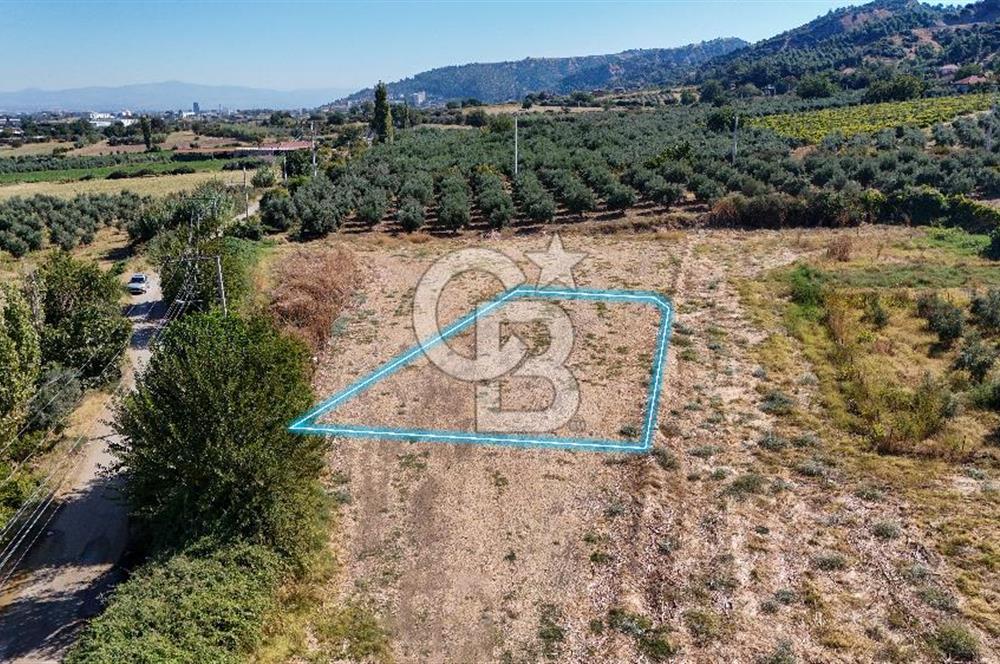 Salihli Caferbey'de 686 m² Villa İmarlı Satılık Köşe Arsa
