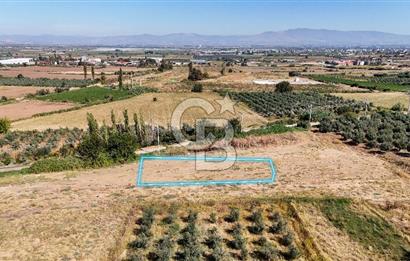 Salihli Caferbey'de 686 m² Villa İmarlı Satılık Köşe Arsa