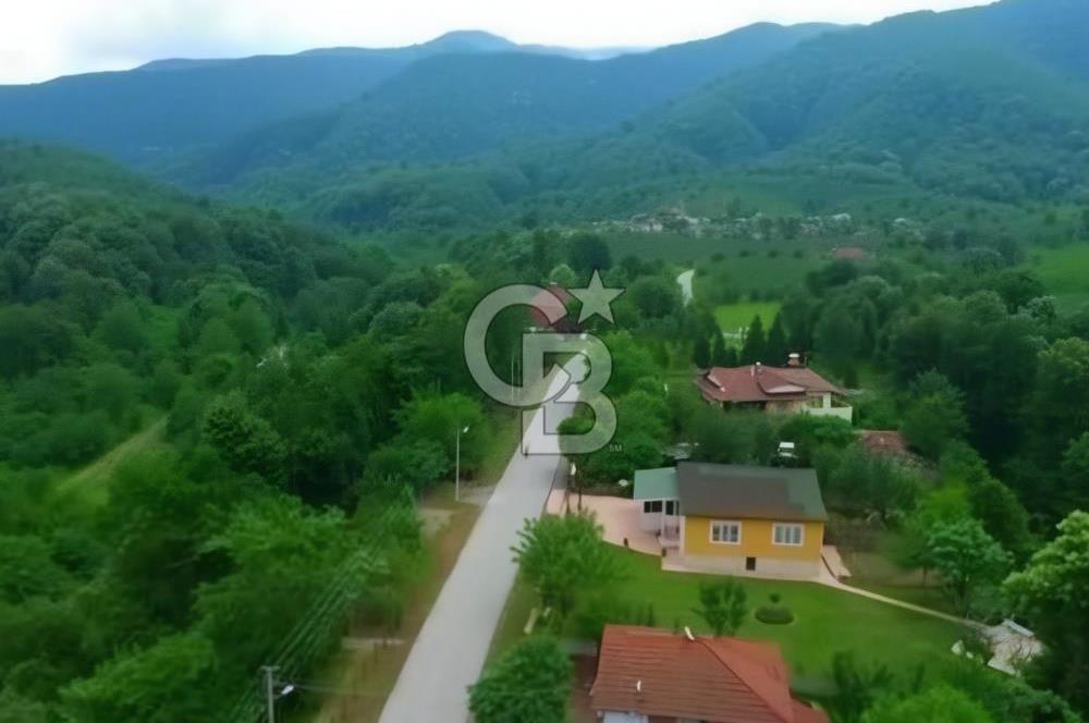 SAKARYA ARİFİYE KIŞLAÇAYDA SATILIK 12.030 M2 FINDIKLIK/ TARLA