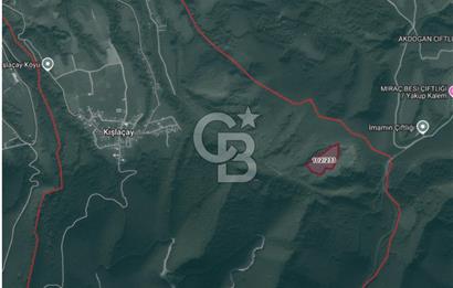 SAKARYA ARİFİYE KIŞLAÇAYDA SATILIK 12.030 M2 FINDIKLIK/ TARLA