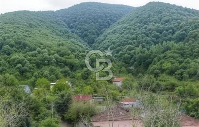 SAKARYA ARİFİYE KIŞLAÇAYDA SATILIK 12.030 M2 FINDIKLIK/ TARLA