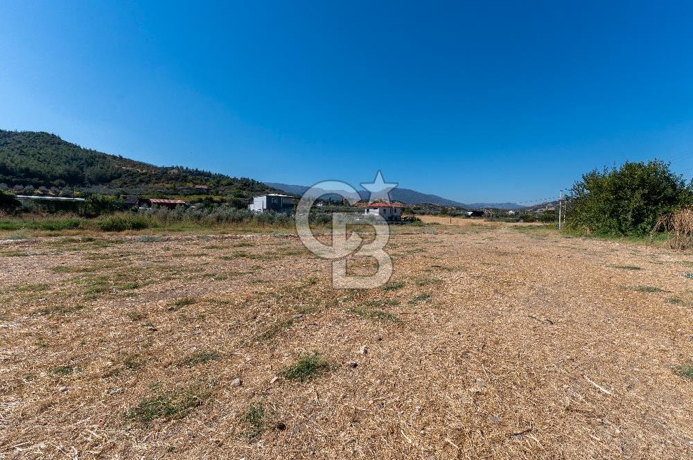 Salihli Caferbey'de 686 m² Villa İmarlı Satılık Köşe Arsa