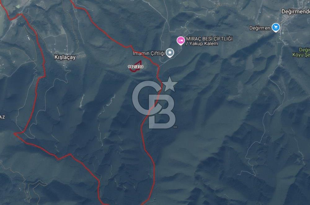 SAKARYA ARİFİYE KIŞLAÇAYDA SATILIK 12.030 M2 FINDIKLIK/ TARLA