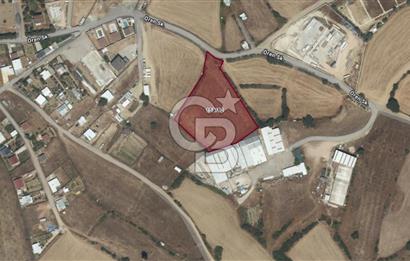 GEBZE AKVİRAN'DA KİRALIK 4.929M² KİRALIK TARLA