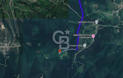 SAKARYA ARİFİYE KIŞLAÇAYDA SATILIK 12.030 M2 FINDIKLIK/ TARLA