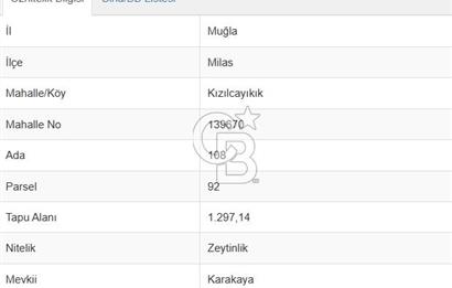 Muğla Milas Kızılcayıkık Satılık Zeytinlik