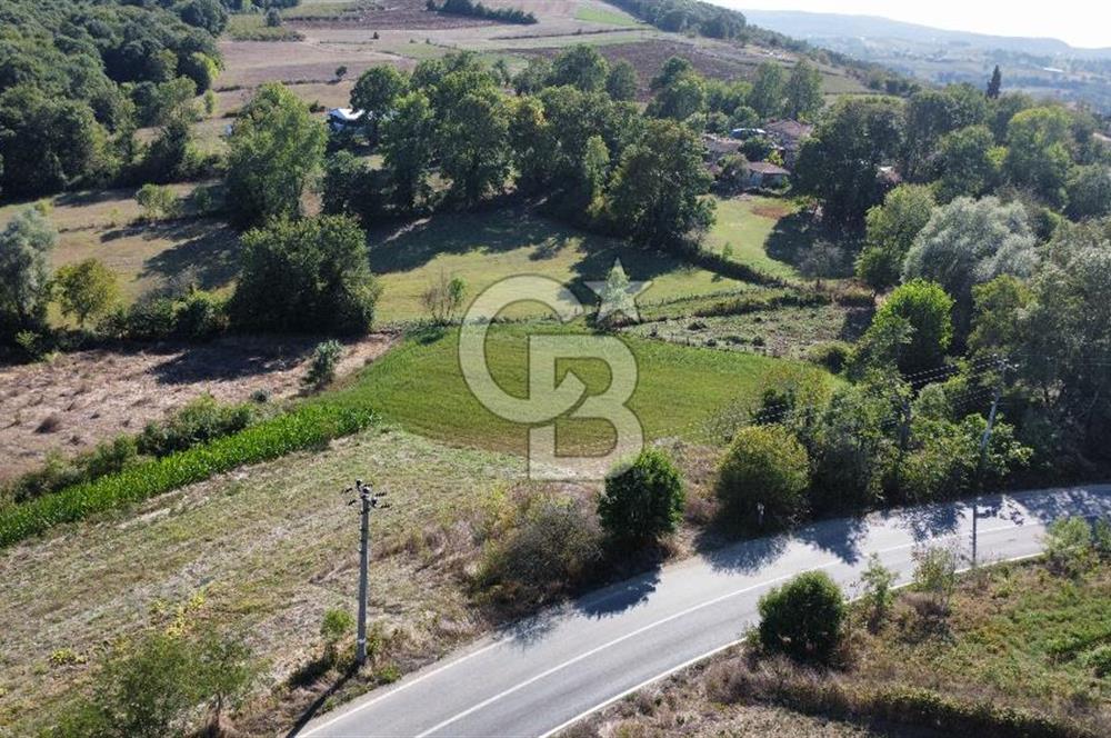 KANDIRA SARIGAZİ KÖYÜNDE ASFALT KENARI SATILIK TARLA