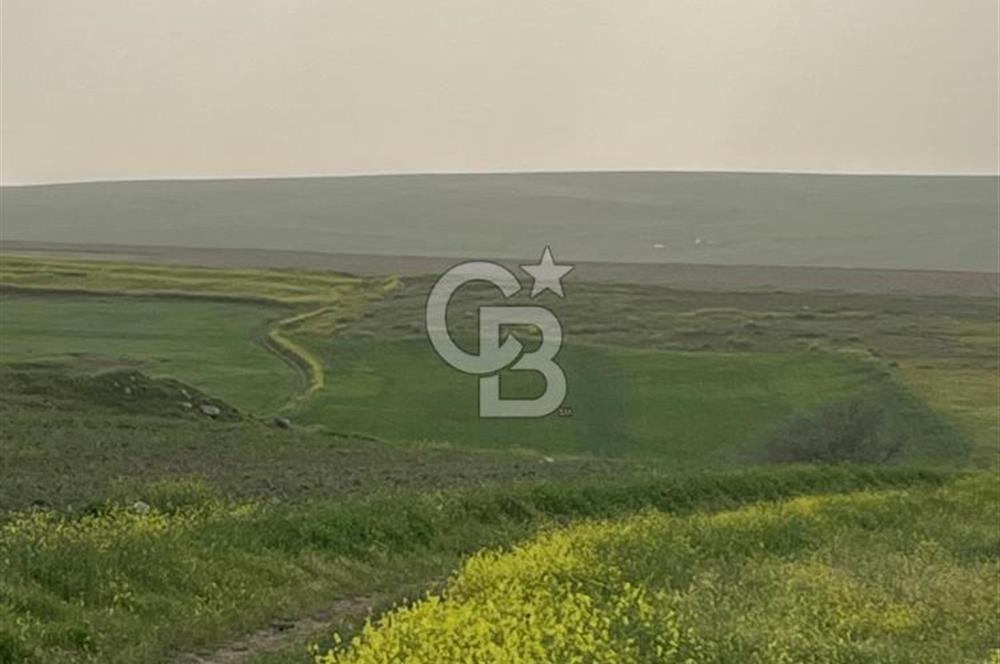 KIRŞEHİR MERKEZ SARAYCIK KÖYÜ 23.439 M2 SATILIK TARLA