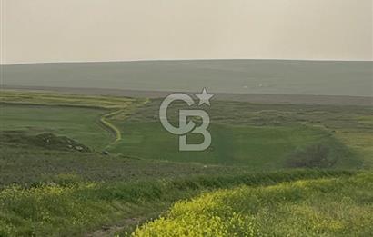 KIRŞEHİR MERKEZ SARAYCIK KÖYÜ 23.439 M2 SATILIK TARLA